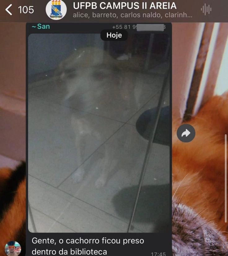 AnaliseDeCalvos's tweet image. 