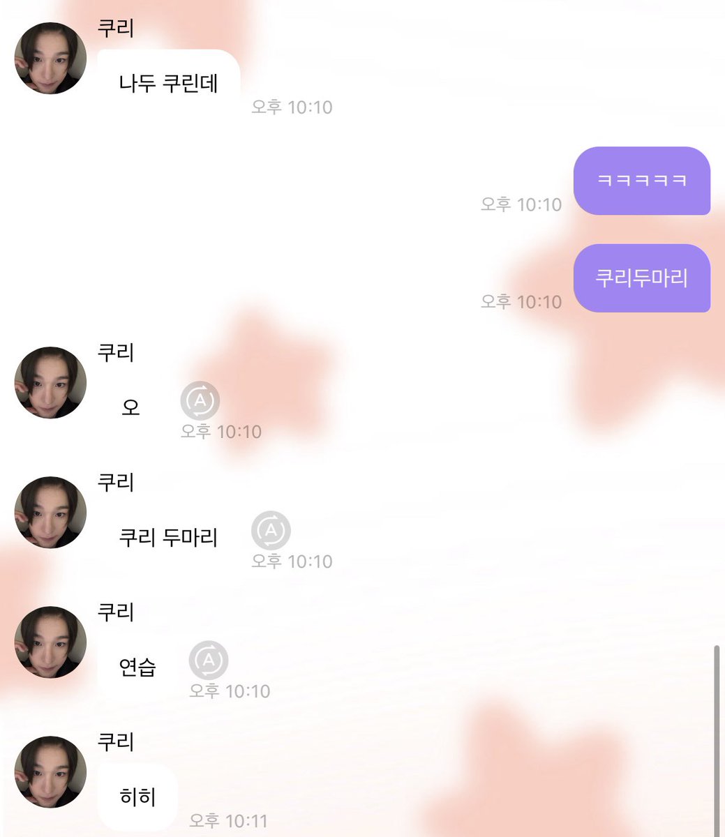 하루에 두번 놀기 신청하는 시바견... 앙