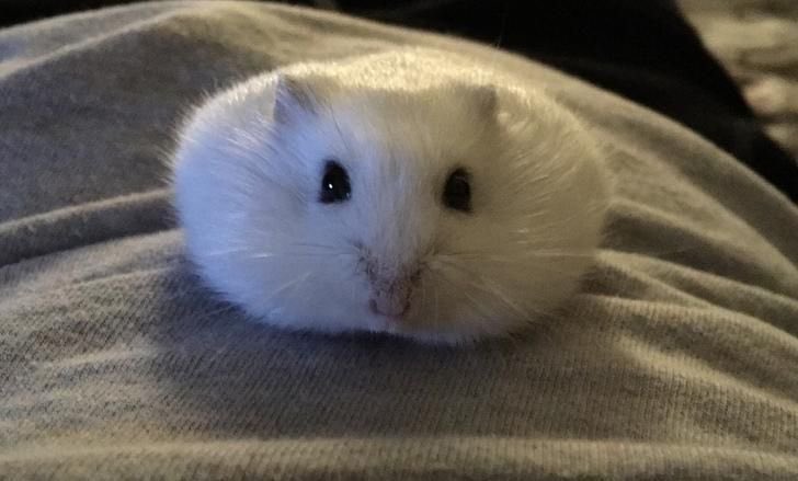 Mc(yt) Demotivation tweet media