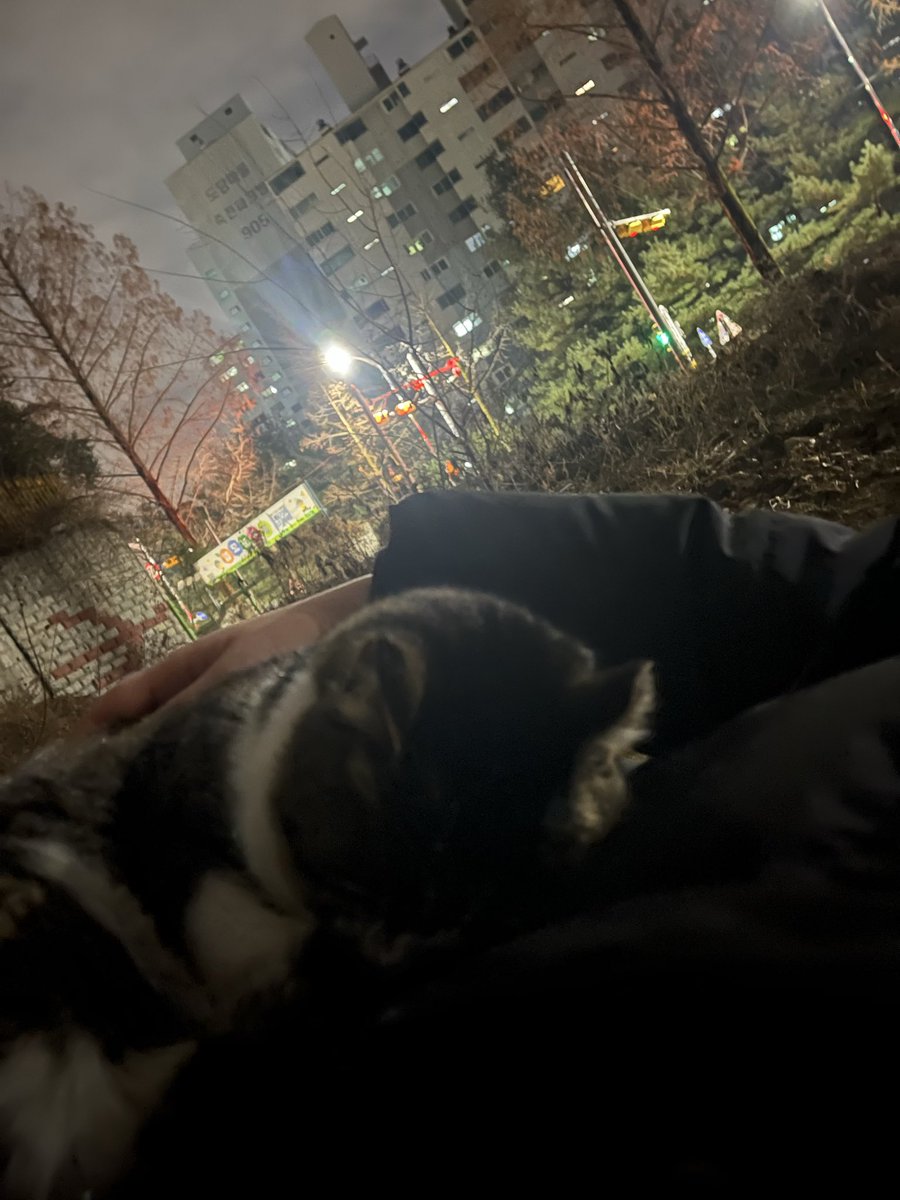 오늘은 길고양이랑 흙바닥에 누워서 
구름 흘러가는거, 별, 비행기 등등을 감상하는 즐거운 한때를 보냇답니다
위쪽은 고양이 때문에 뜨뜻한데 등이.. 땅바닥에서 한기 ㅈㄴ올라와서 얼어뒤지는줄
노숙은 할 짓이 못되더군요