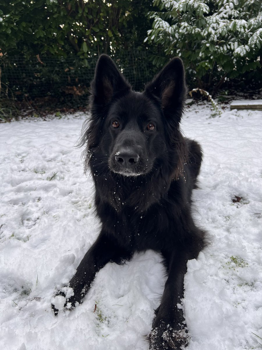 zero_lbs's tweet image. if u even care