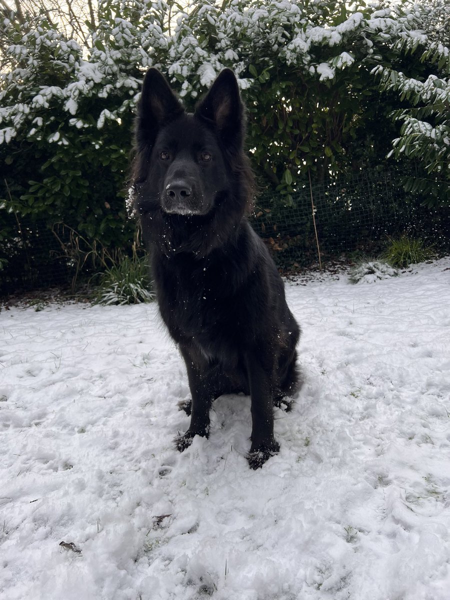 zero_lbs's tweet image. if u even care