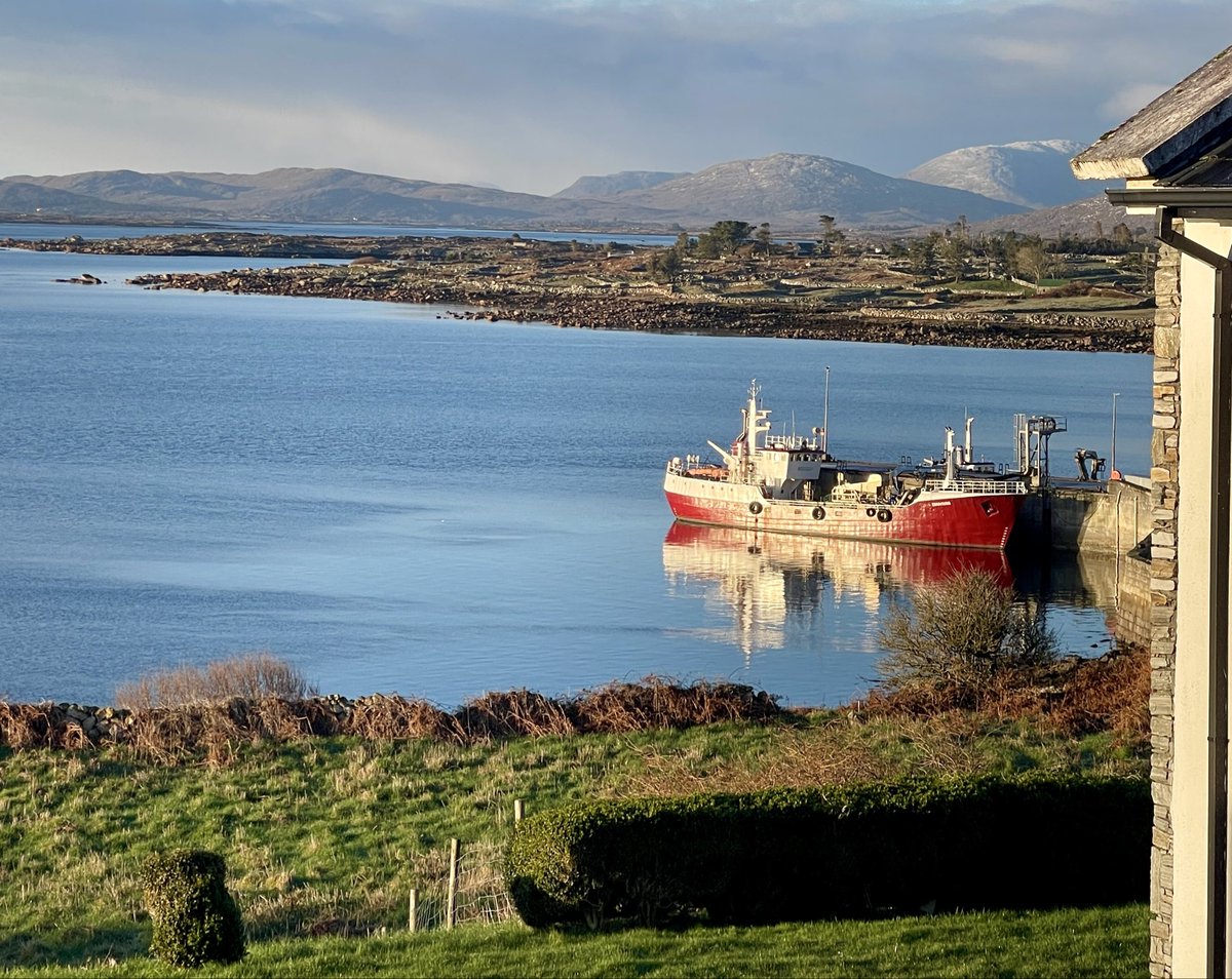 Bo Morgan tweet media