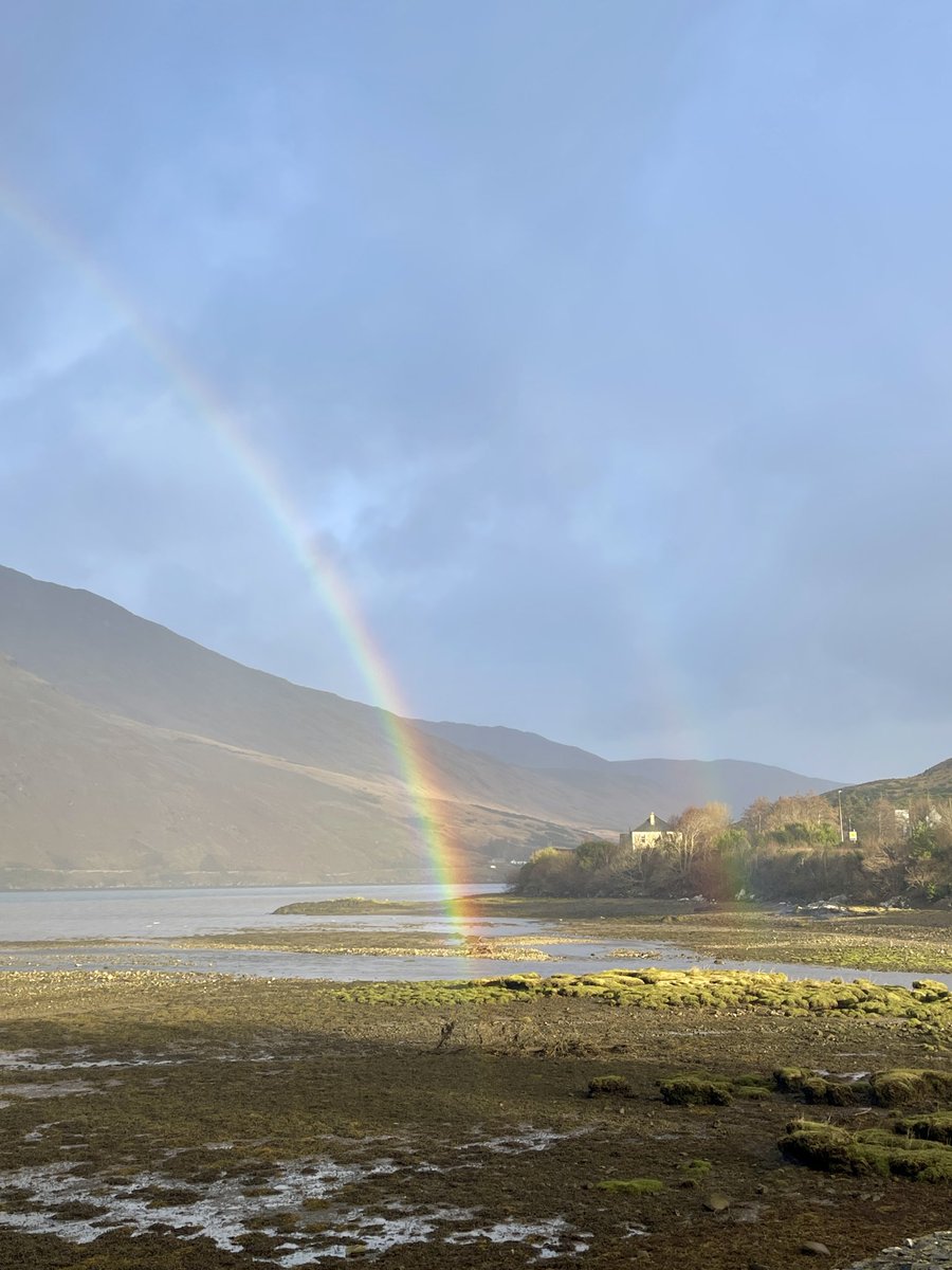 Bo Morgan tweet media