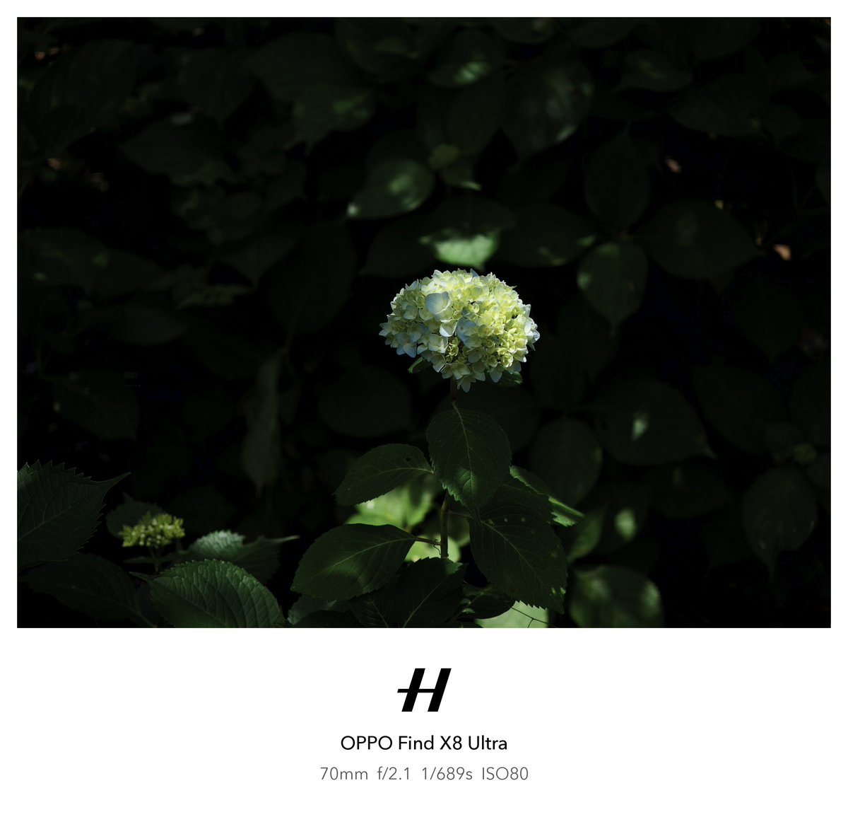 ＳＫ⭐︎お値下げお断り ヨドバシ.com - オークリー OAKLEY Line Miner Pro M （Low Bridge Fit