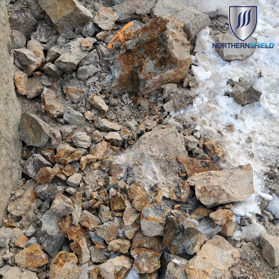 NorthernShield's tweet image. Our Root &amp;amp; Cellar project, just 3 hours from St. John's, NFL, targets a low sulphidation epithermal Au-Ag mineralization, with strong copper porphyry potential.

Our grab samples grade up to 111 g/t Au, 1,395 g/t Ag, and 700ppm Te.

What will 2026 bring?