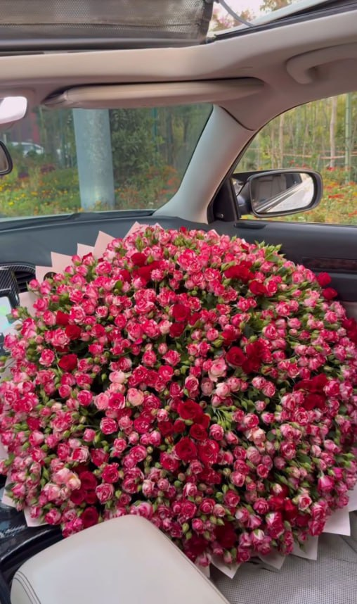 Random_Woman_12's tweet image. I love it