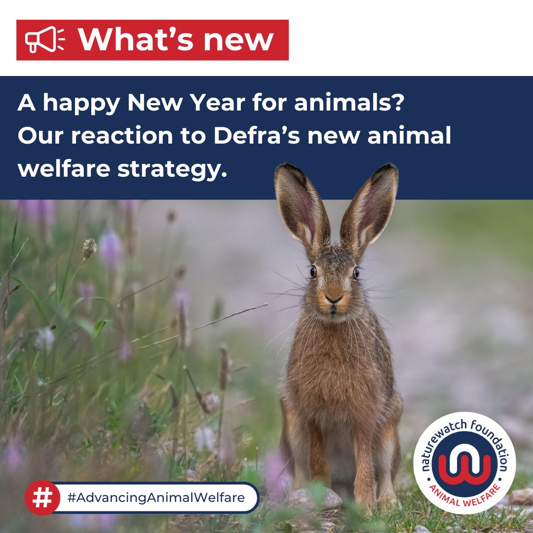 Naturewatch Foundation tweet media