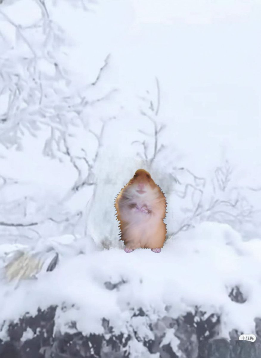 AXE | 🇦🇺 tweet media