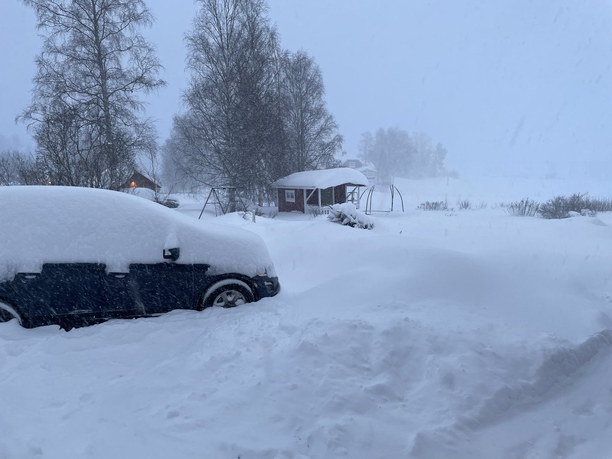 Det är kul med snö