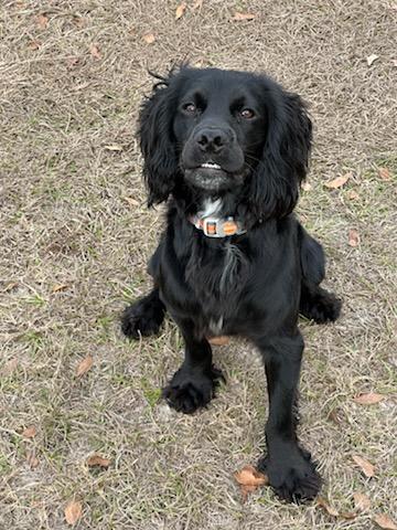 Taylor County Sheriff's Office tweet media