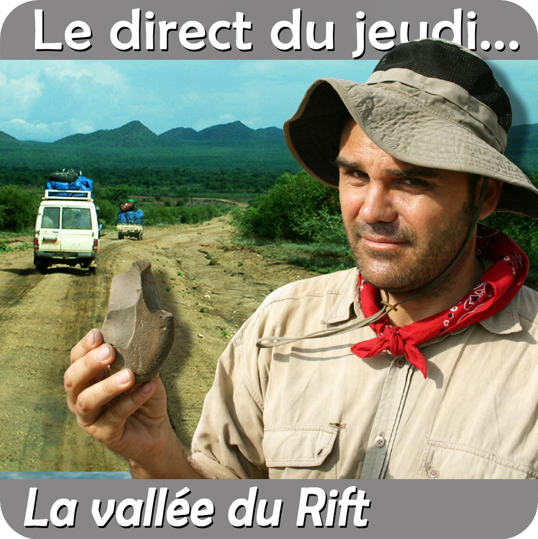 SimplexPaleo's tweet image. Ce jeudi 8 janvier à 20h30 sur Youtube et Twitch, je reçois le préhistorien Dominique Cauche qui nous amènera en Afrique explorer la vallée du Rift ! 

youtube.com/live/sHYfoTHXC…