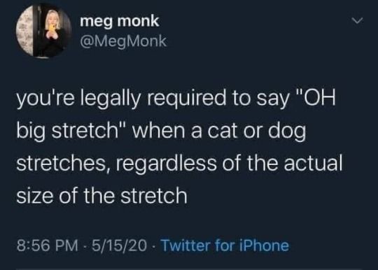 CatTikToks's tweet image. 