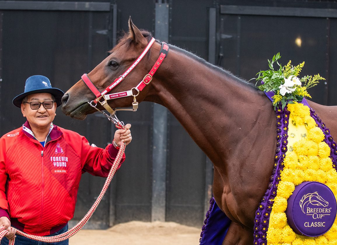 abracing0's tweet image. History Made: Forever Young Crowned 2025 JRA Horse of the Year! 🇯🇵🏆

The Japan Racing Association has officially announced the 2025 awards, and Forever Young has secured the ultimate prize

The victory was near-unanimous. Forever Young dominated the journalist ballot, proving…