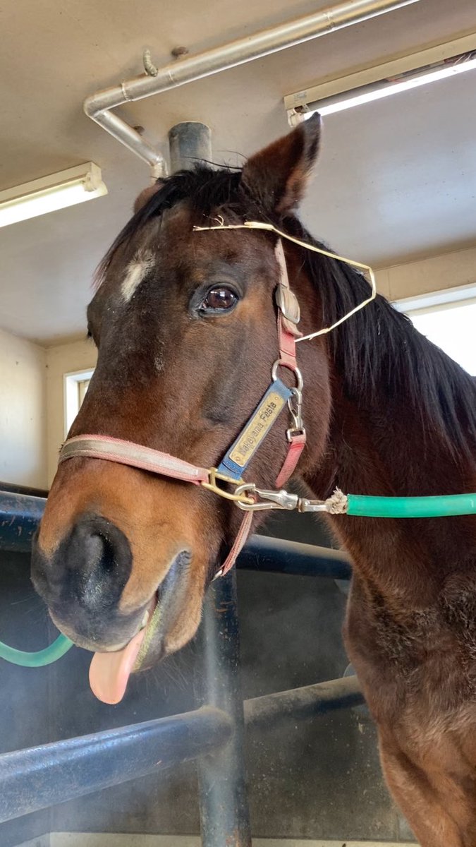 あちゃこ様•*¨*•.¸♬︎専用 Culture — Ado & Hatsune Miku | romaji COLOR CODED LYRICS - YouTube