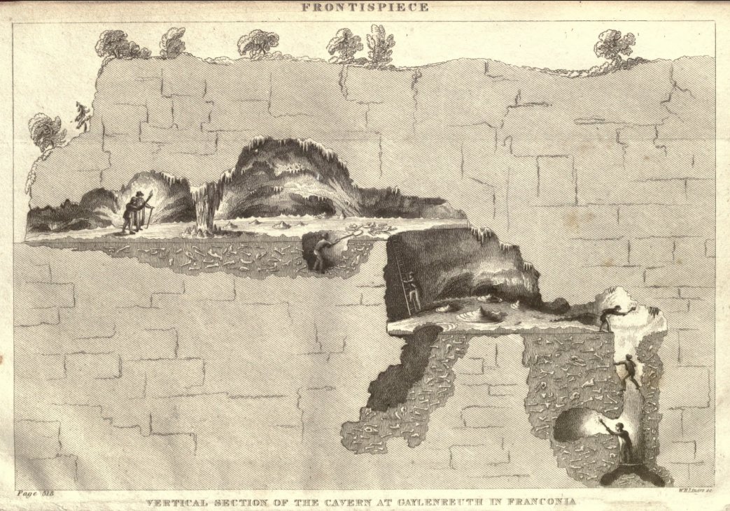 nobulart's tweet image. "..if we examine with still greater care those remains of organised bodies, we discover, in the midst of even the oldest strata of marine formation, other strata replete with animal or vegetable remains of terrestrial or fresh-water productions; and, amongst the more recent…