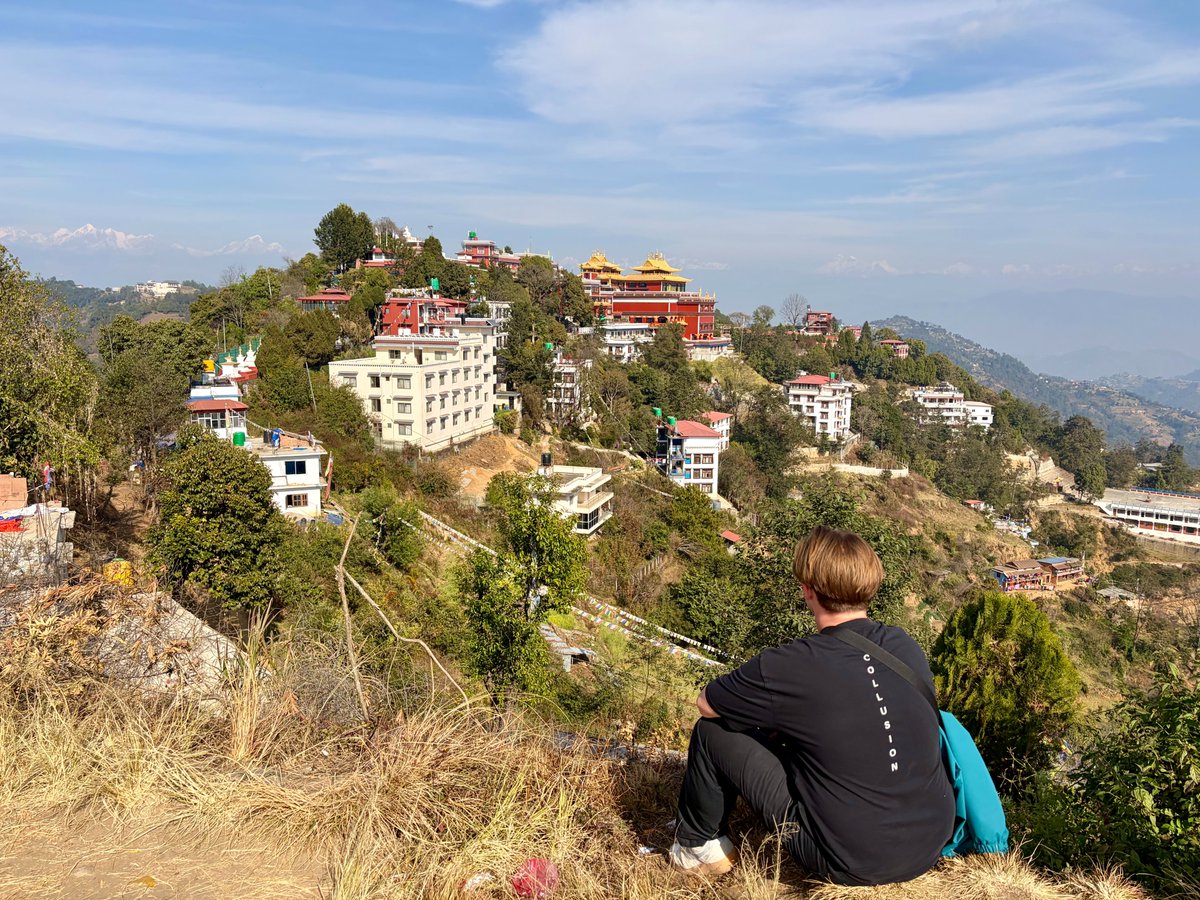 Matt 🐡 tweet media