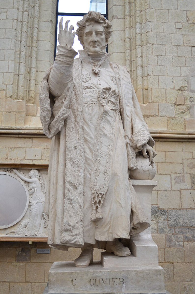 nobulart's tweet image. "..if we examine with still greater care those remains of organised bodies, we discover, in the midst of even the oldest strata of marine formation, other strata replete with animal or vegetable remains of terrestrial or fresh-water productions; and, amongst the more recent…