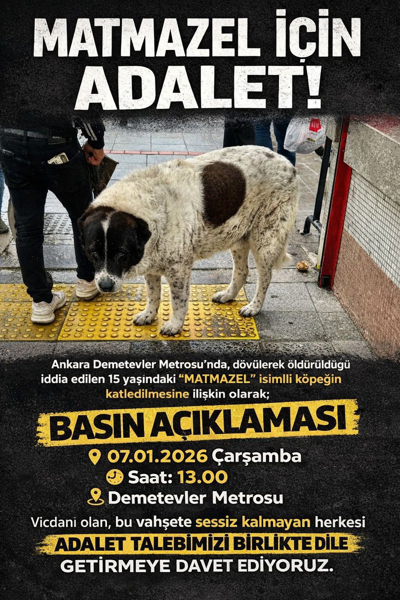 Matmazel için yarın 13.00’da Demetevler metrosuna

#matmazelicinadalet