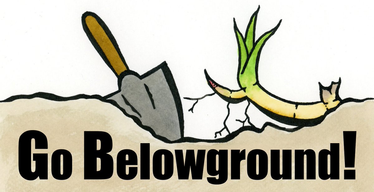 Go Belowground! tweet media