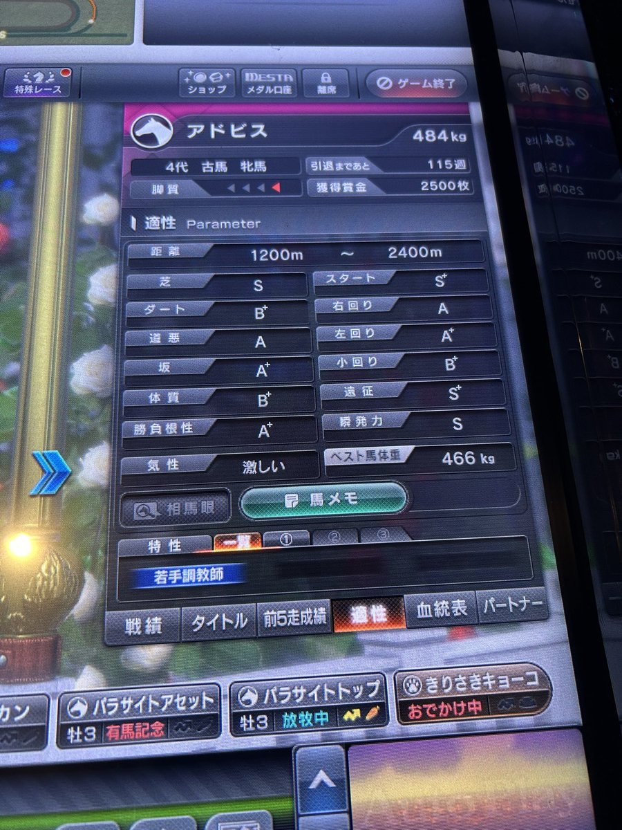 宝珠使ったけど、4代でこれは👍
噂のクジャクも初使用😆