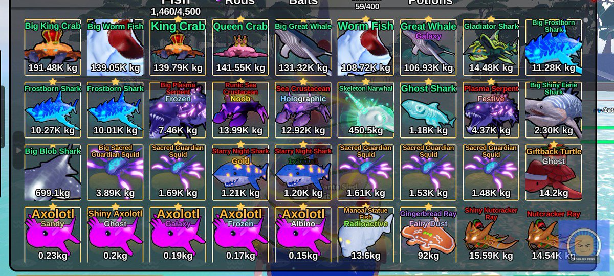 Roblox Fess tweet media