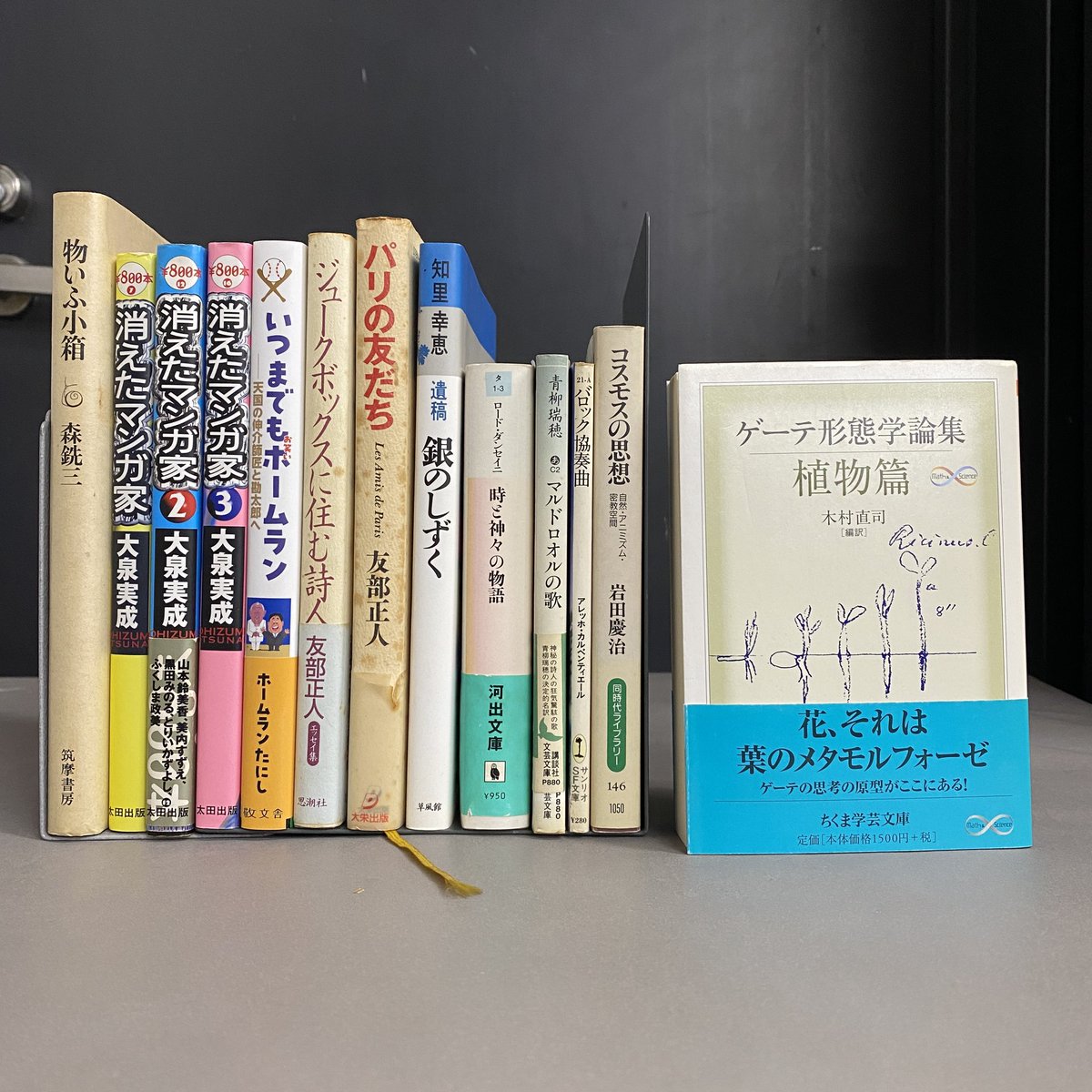 日本の古本屋に商品追加しました📚／[1月6更新］／「ゲーテ形態学論集