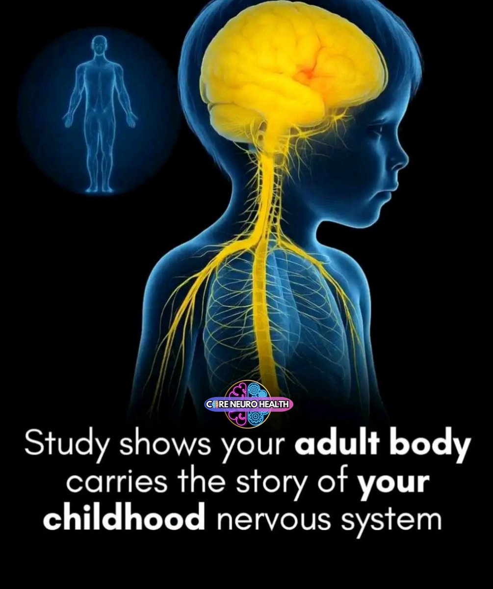 CoreNeuroHealth's tweet image. Your body remembers — even when your mind doesn’t.

Research shows that experiences in early life help shape how the nervous system wires itself, and those patterns can quietly influence health decades later.

Early stress, safety, connection, or
And it doesn’t mean your future