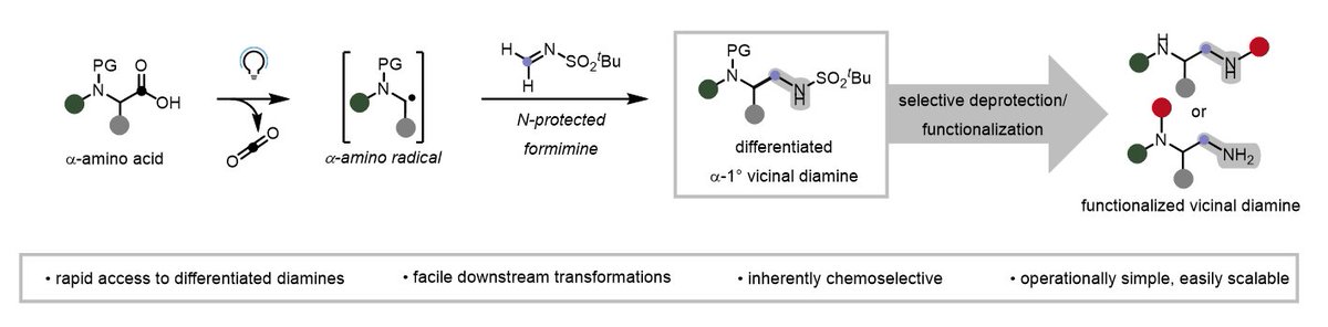 Noel Research Group tweet media