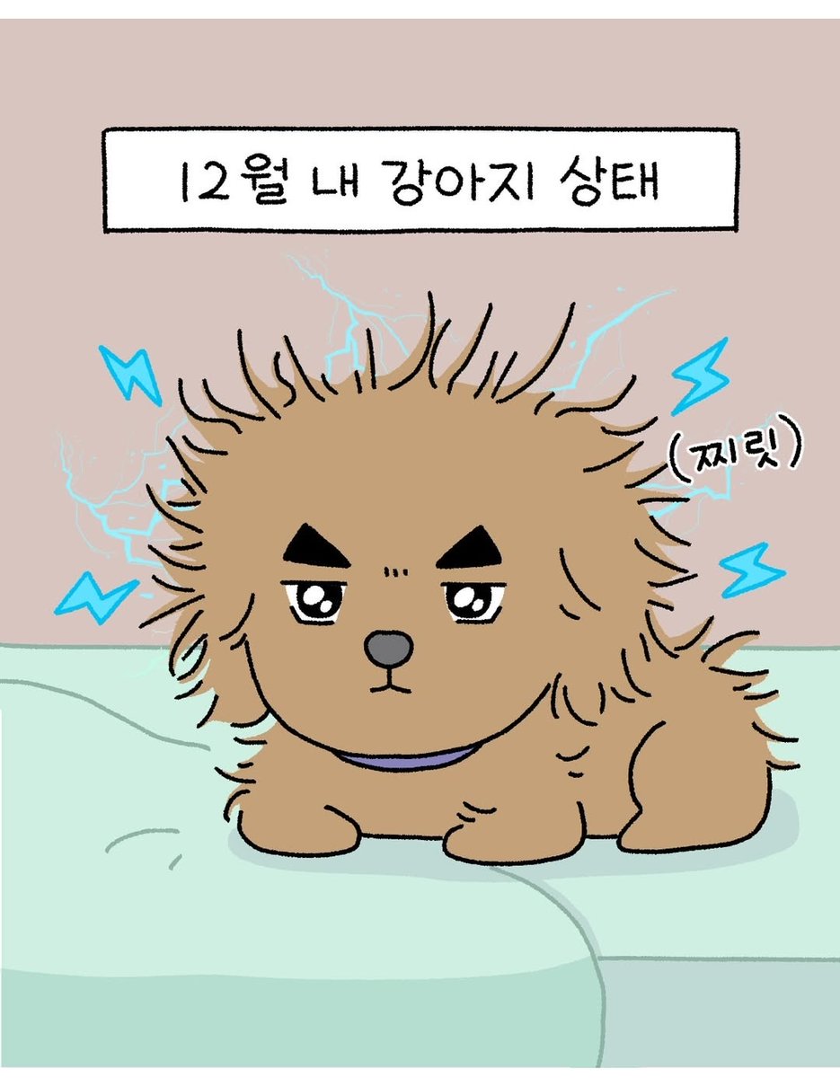 1차디비ꀹ【텔 @YakoDB】⌬급전사고자.rom