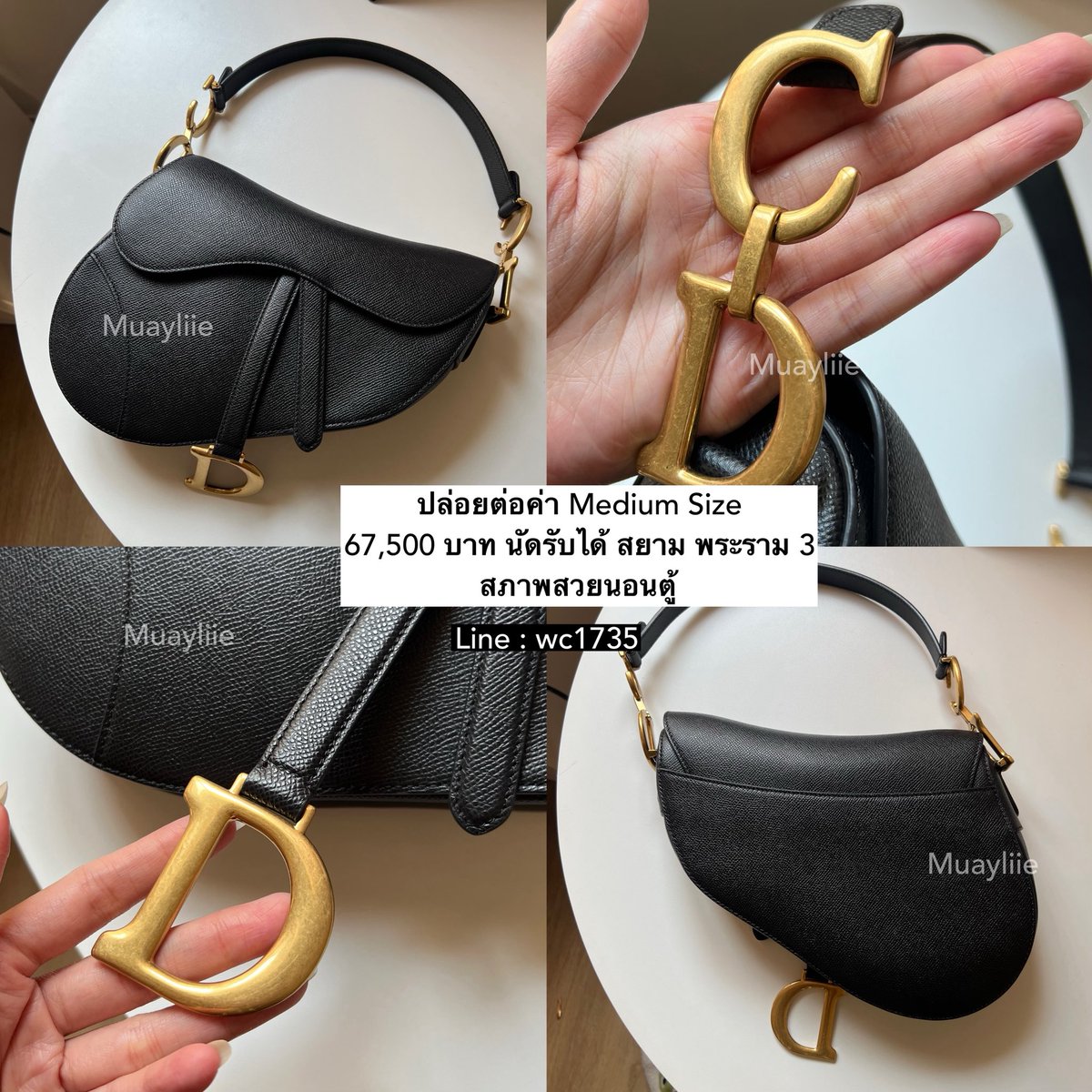 หมวยลี่🕊 tweet media