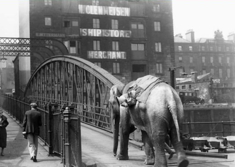 LuvNorthShields's tweet image. 🐘 Do you know the story of Jenny the Elephant?
💬 Do you know more about Jenny?
📸 Have you seen this photo before?
👂 Were you told stories about it growing up?
hello@ilovenorthshields.com
#ILoveNorthShields #NorthShieldsHistory #LocalStories