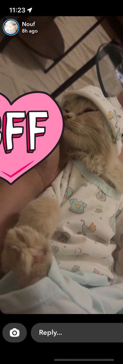 daMEOWid's tweet image. امي معطيه اختي ملابس تخبيها لعيالها 
هي وش مرسله