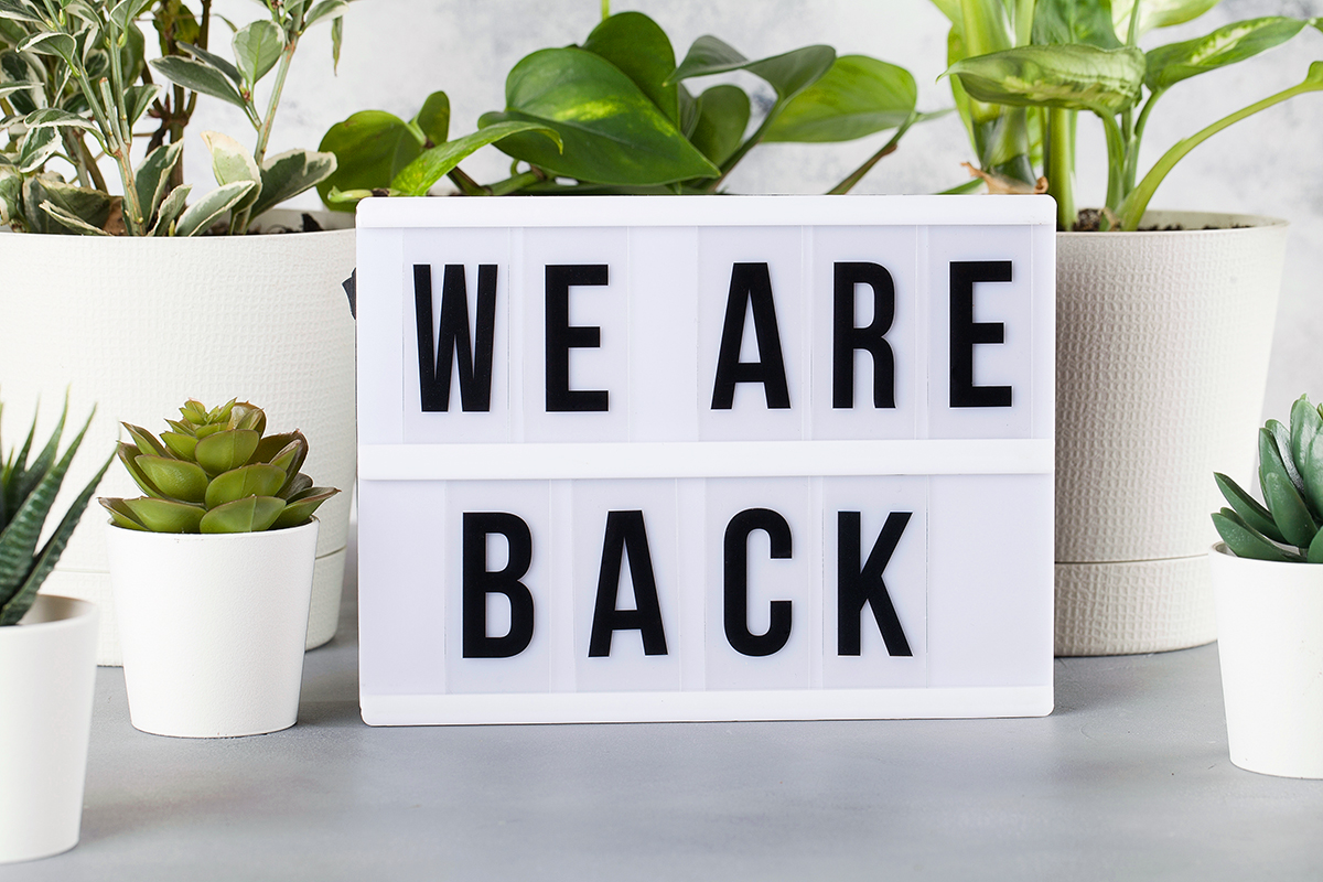 🎉 That’s a wrap on VI’s 12 Days of Christmas!

We’re back in the studio – refreshed, inspired and ready to create and deliver for 2026. Taking new enquiries now!

Here’s to a bright, brilliant year ahead. The VI Team 💛

#VICreative #BrandDesign #DigitalDesign