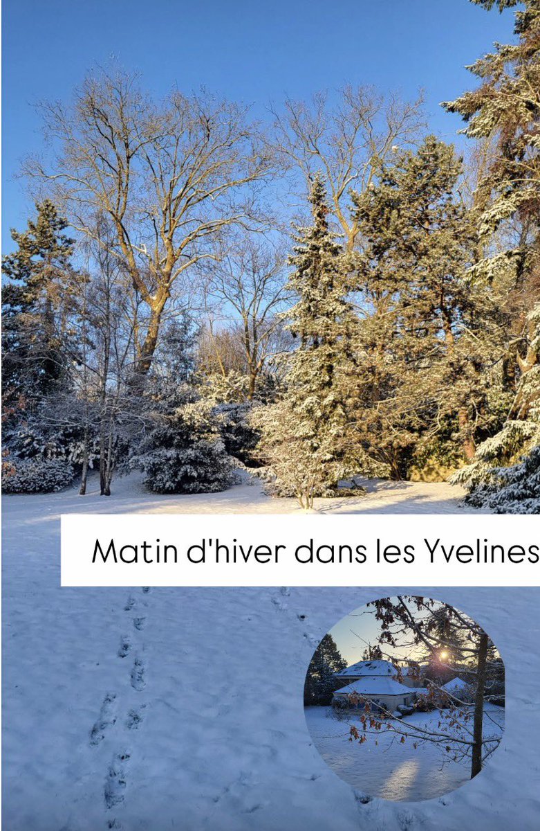 ❄️Matin d'hiver dans les Yvelines❄️