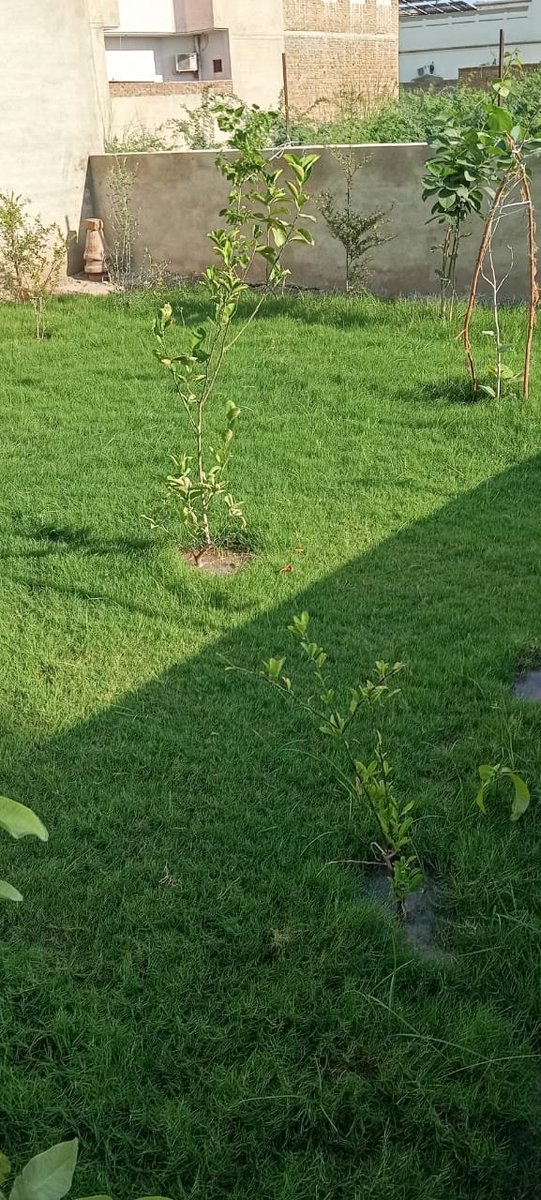 JonDaThird's tweet image. 