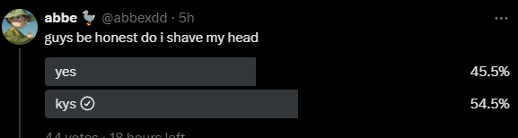 Sloushy (the plushie hamster) tweet media