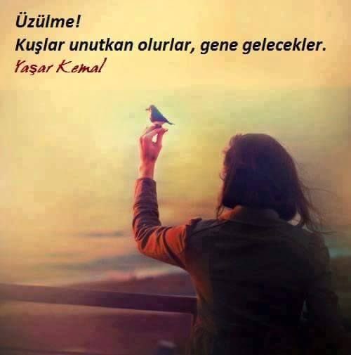 Kitap Cümleleri tweet media