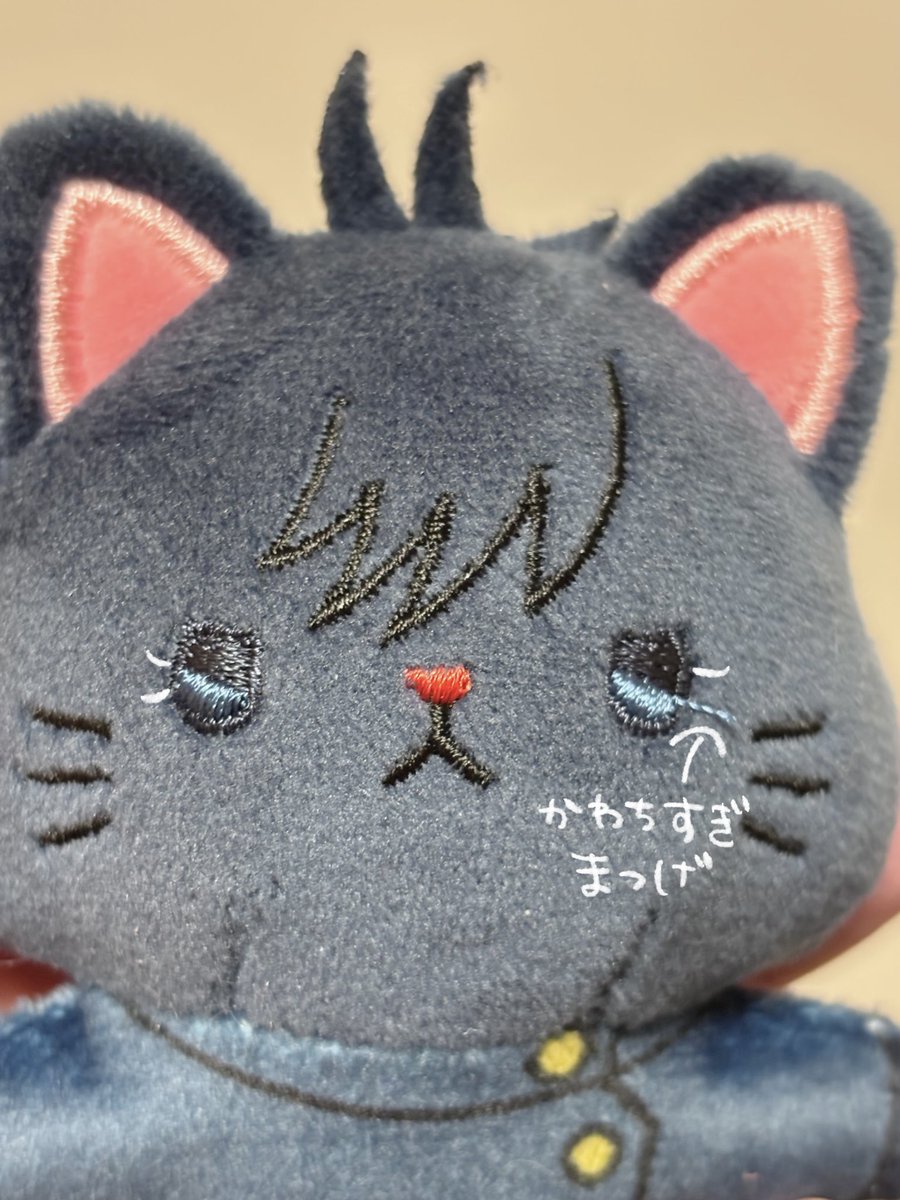 すみれさんからみににゃん譲っていただきましたっ😭だいじだいじに運ばれてきたょ
かわいすぎてやばい！呼び方悩みまくってる！
他にもたくさんお気遣いいただいて…すみれさんありがとうございます😭😭😭