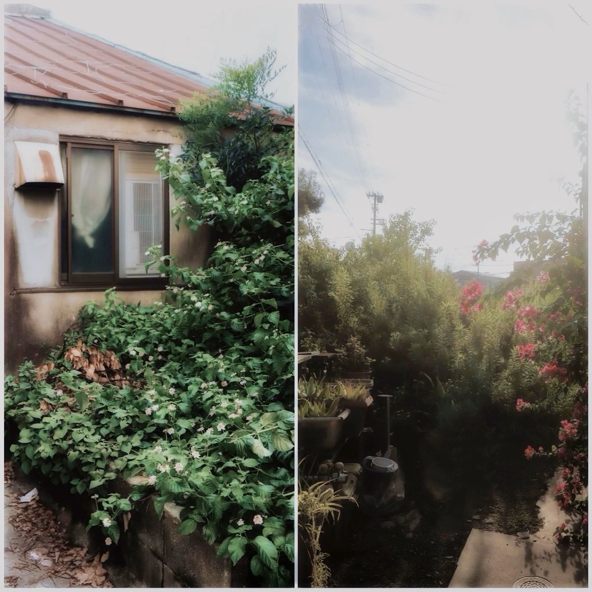 Post by こっちゃん on X: 🥲👍