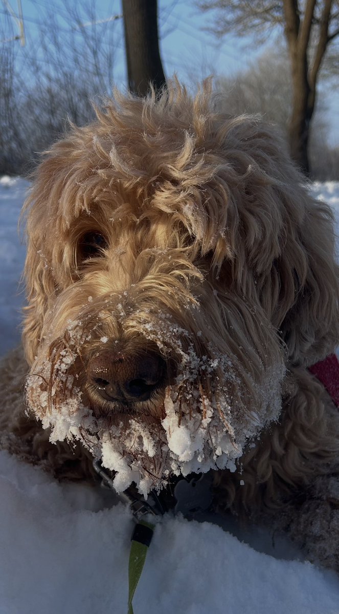 Mike_Drop1's tweet image. #YourDailyDoodle