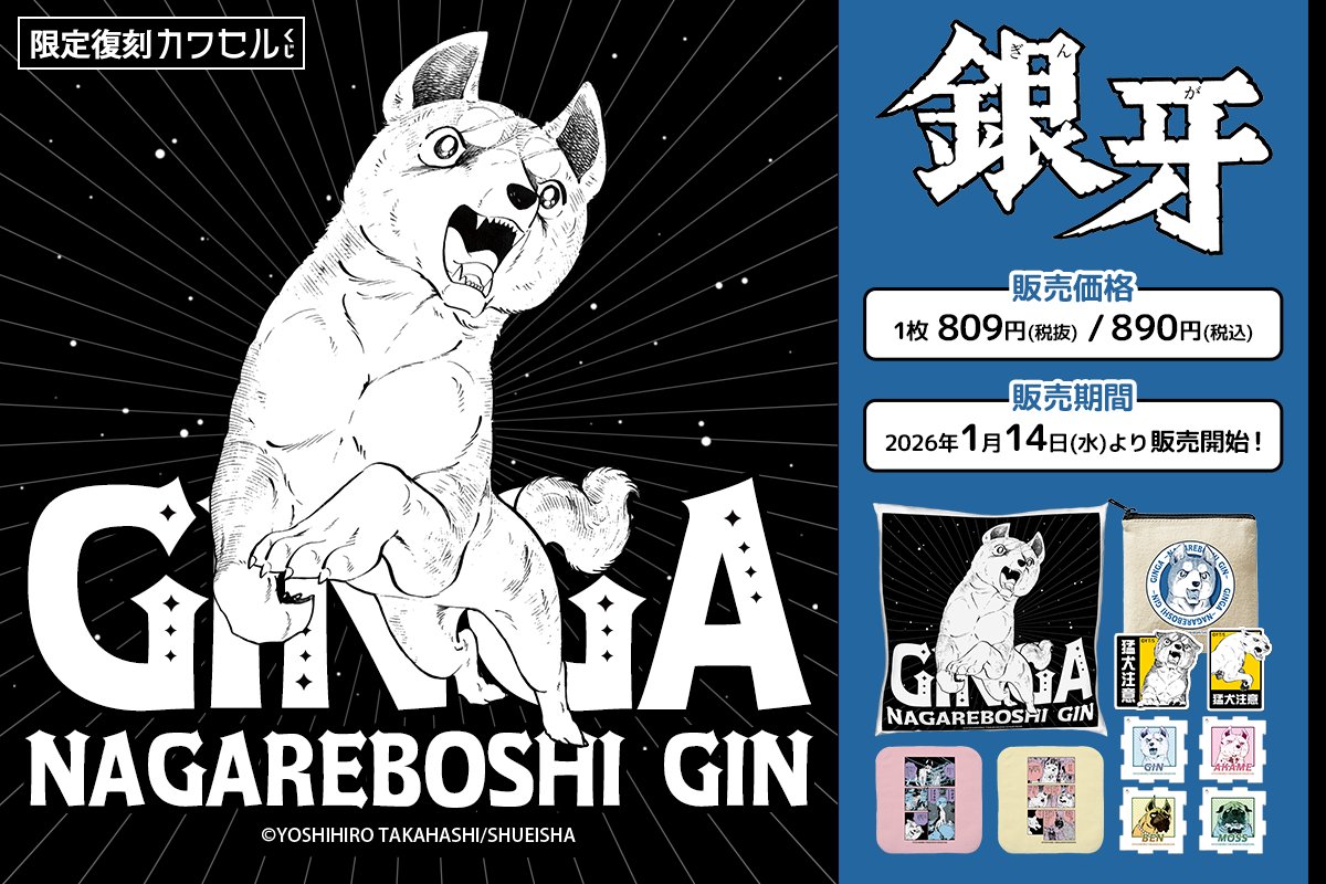 予告】 「＃銀牙 -流れ星 銀-」カワセルくじが期間限定で復刻！ 1月14