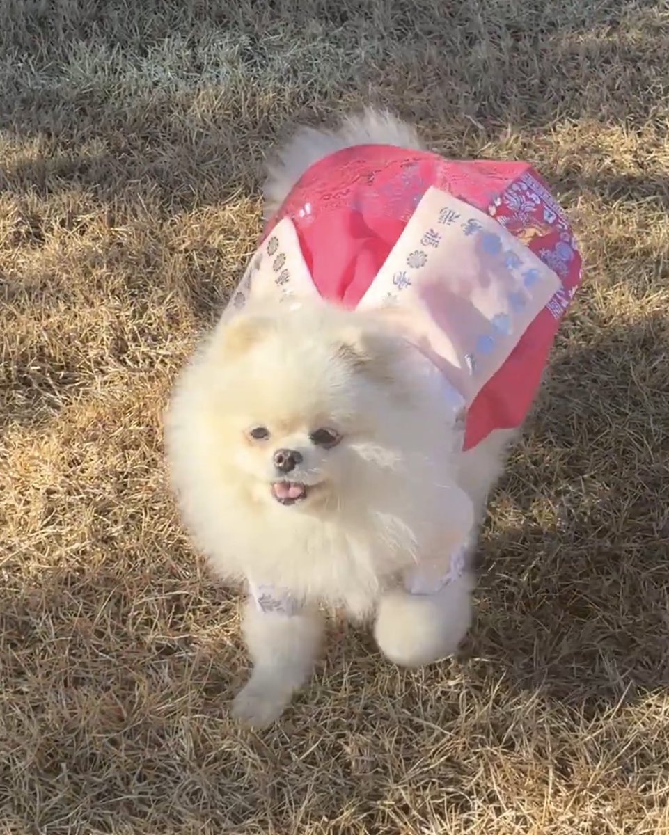 찹쌀똑…