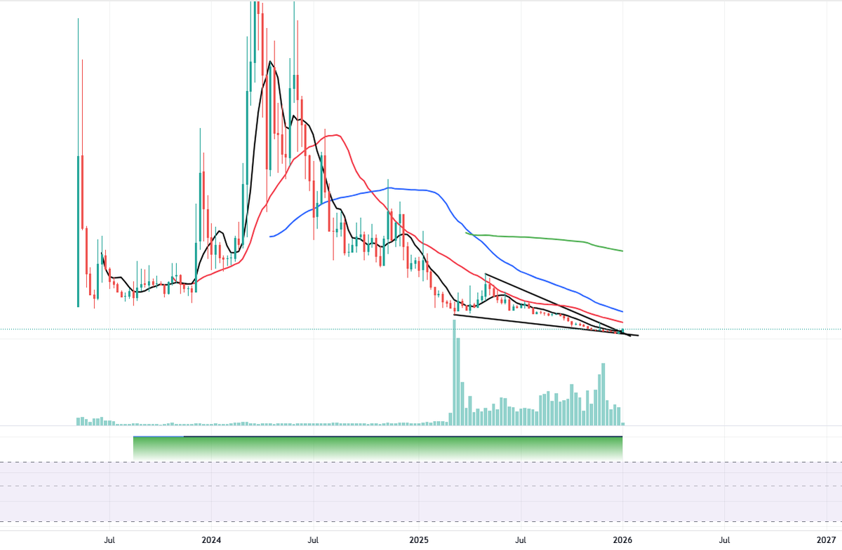 불특정 코인들 매집 현황 요즘 노출해주고 있는데 ex) $ladys 무조건 모든 코인들이 어마무시하게 매집된게 아니다 알트라면 깡그리  수퍼매집이니 뭐니 하는줄 아는데 노노 밈들보면 일반 유틸보다 여실히 매집력이 떨어짐