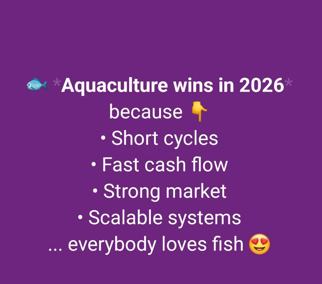 Okon_Eteobong's tweet image. 