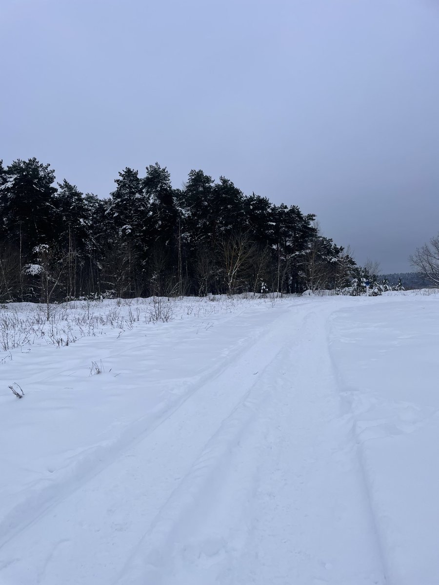 от чего закошмарило розу сегодня: