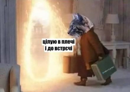 Я: не п'ю вітаміни і не їм залізовмісні продукти місяць
Залізо в  моєму організмі: