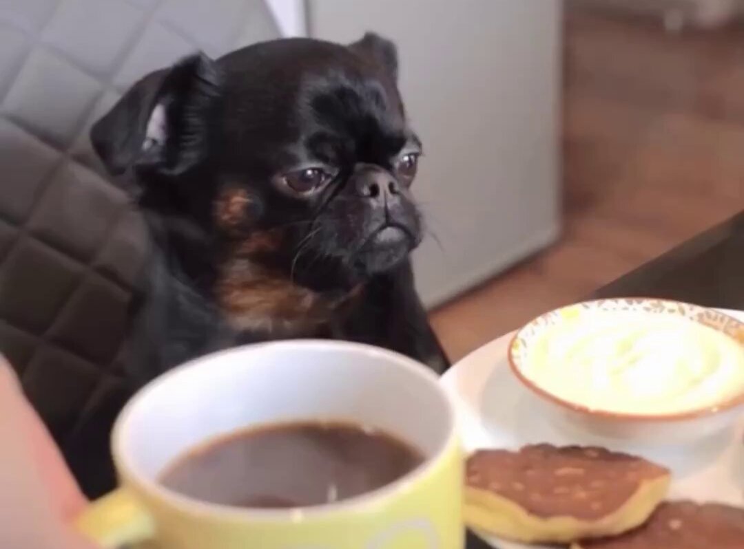 GKB033's tweet image. Comrade taking sturungi na ugali ya jana akikumbuka design alikuwa anatupia bosco chapati a week ago.