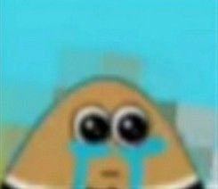 Nio Svajone. tweet media