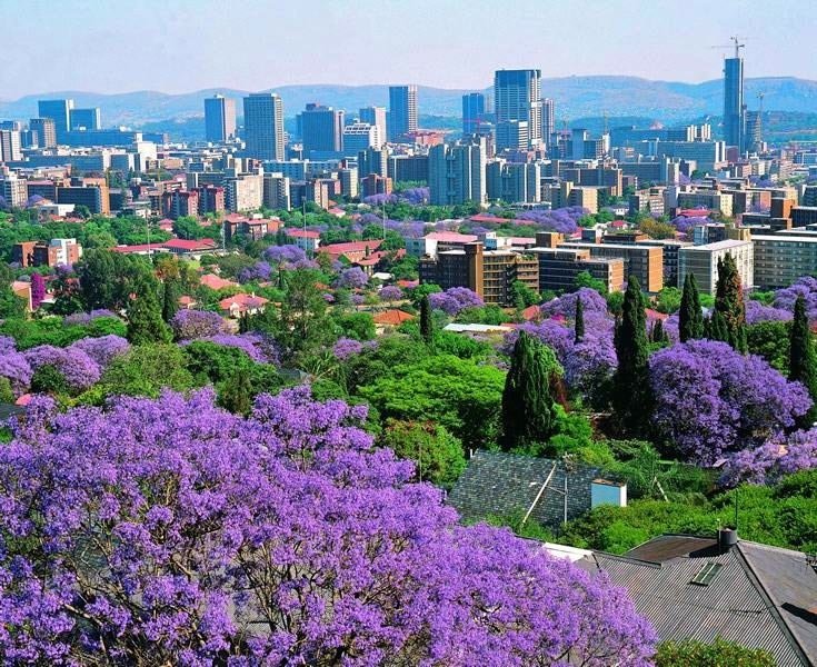 KingPablotz's tweet image. Top 30 Most Dangerous Cities:

1. 🇿🇦 Pietermaritzburg, South Africa: 82.8
2. 🇿🇦 Pretoria, South Africa: 81.8
3. 🇻🇪 Caracas, Venezuela: 81.4
4. 🇵🇬 Port Moresby, Papua New Guinea: 81.3
5. 🇿🇦 Johannesburg, South Africa: 80.8
6. 🇿🇦 Durban, South Africa: 80.4
7. 🇭🇳 San Pedro Sula,…